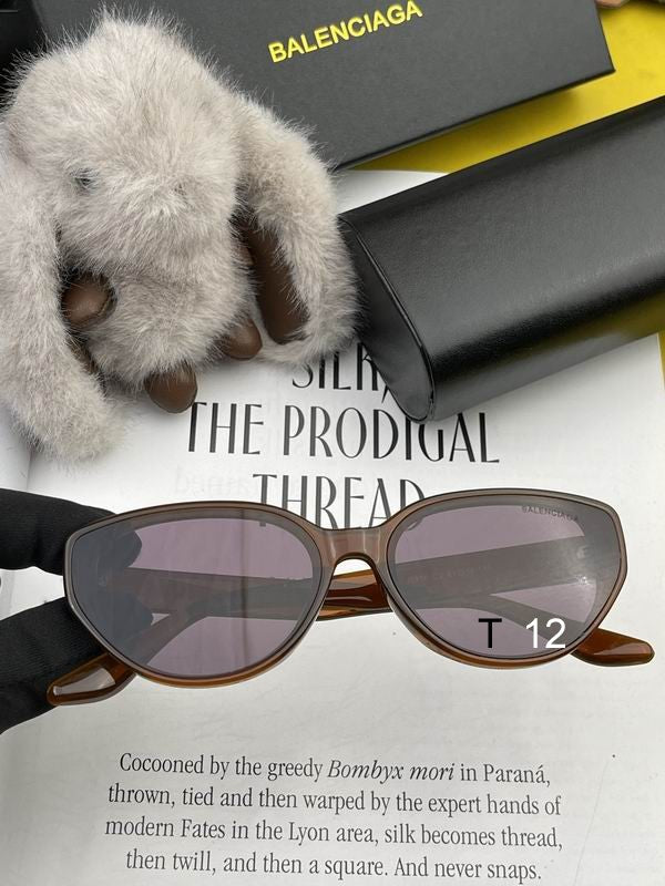 Top Quality Balanciaga Inspired AA+ Quality Sun Glasses