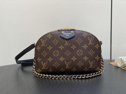 Louis Vuitton Inspired Handbags, AA+ Quality 100% Genuine Leather Classic Flap Medium Quilted Lambskin Black Gold, 18X 1 1X 5cm BL 4 Colour